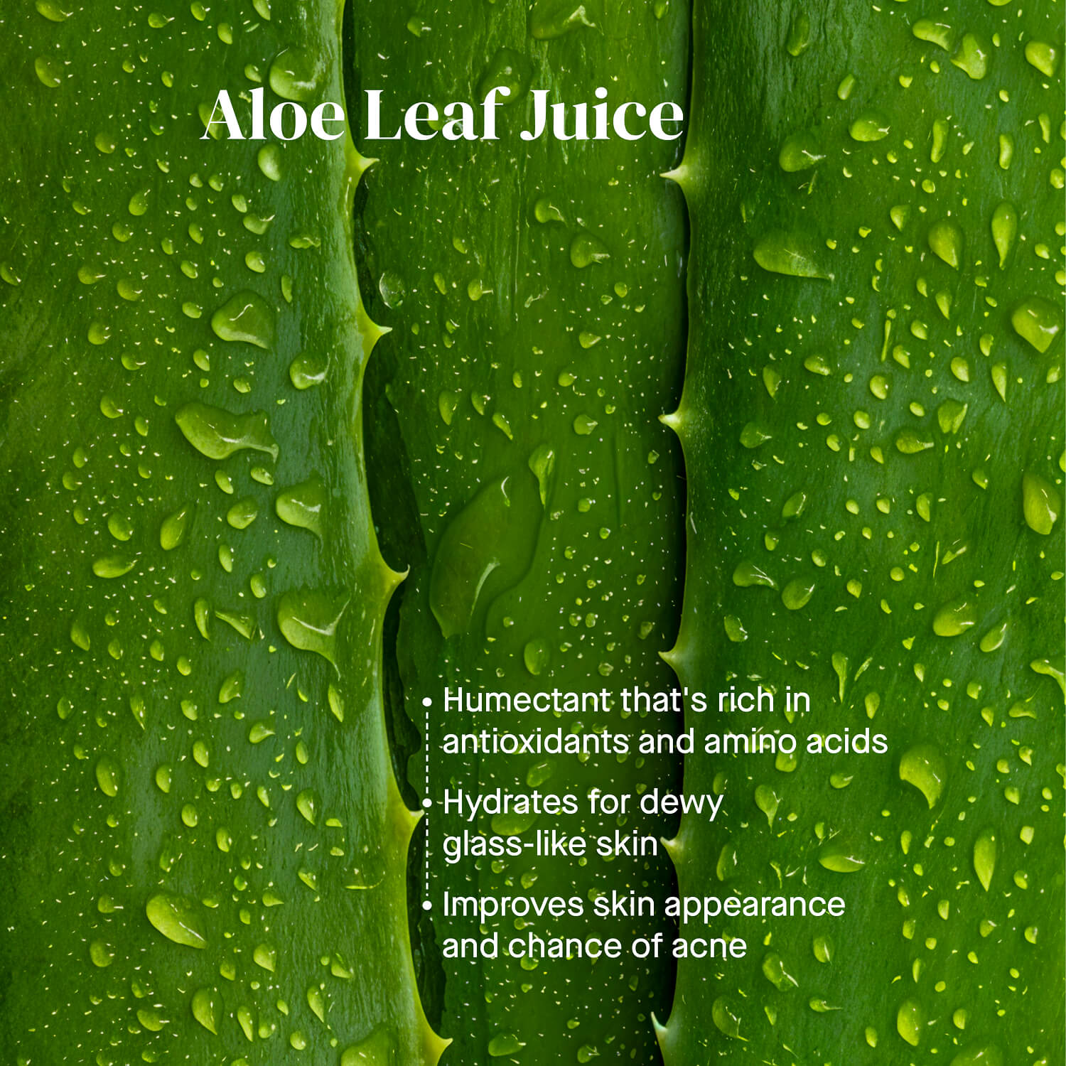 Thallo® Milky Oil Cleanser