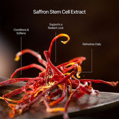 Saffron Stem Cell Activating Toner